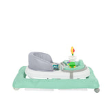 Проходилка Misty Mint