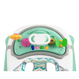 Проходилка Misty Mint