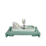 Проходилка Paleo Mint